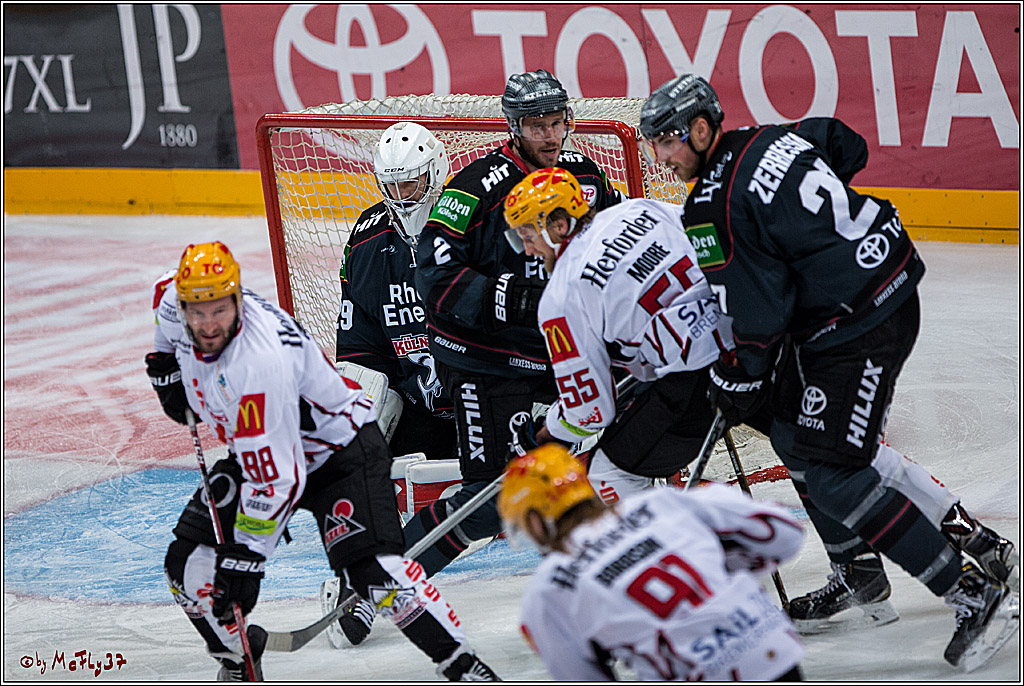 Koelner Haie - Pinguins Bremerhaven, 25.10.2016